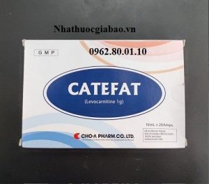 Thuốc Catefat 1g – Dung dịch uống