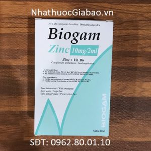 BIOGAM ZINC 10mg/2ml