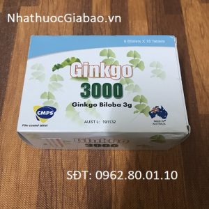 Ginkgo 3000