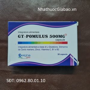 GT-Pomulus 500mg - Thực phẩm bảo vệ sức khỏe